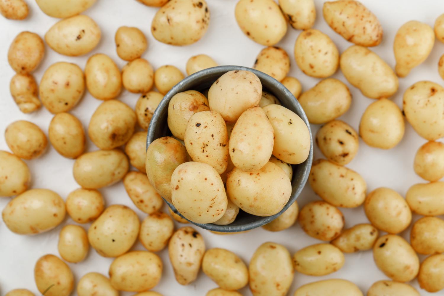 Какие класть удобрения в лунку при посадке картофеля - Блог Грин Лифт