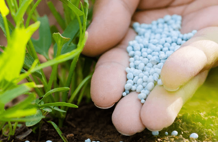 Как использовать калийно-фосфорное удобрение - ГринЛифт